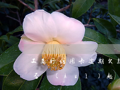 工商行信用卡逾期：欠款23000元，銀行是否會(huì)起訴？逾期3個(gè)月后還款還會(huì)被起訴嗎？